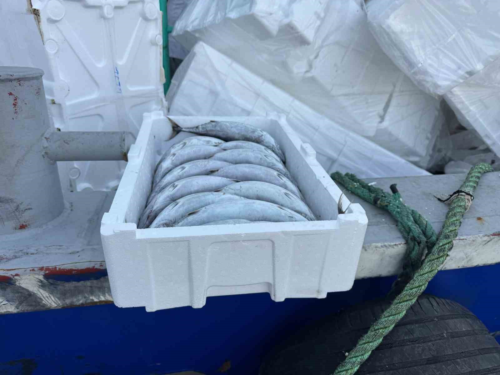 Strafor köpük kasasının fiyatı palamuttan 3 kat pahalı